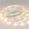Лента RT 6-5000 24V White-MIX 2x (5060, 60 LED/m, LUX) (Arlight, Изменяемая ЦТ) 025213 - фото 110985
