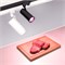 Светильник LGD-ZEUS-4TR-R88-20W Warm SP2900-Meat (WH, 20-60 deg, 230V) (Arlight, IP20 Металл, 3 года) 029980 - фото 111442