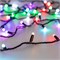 Светодиодная гирлянда ARD-STRING-CLASSIC-10000-BLACK-100LED-MILK-SYNC RGB (230V, 6.5W) (Ardecoled, IP65) 028214 - фото 113571