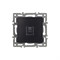 Механизм компьютерной розетки SCT-MPC1-PL-BK (RJ-45, CAT6) (Arlight, -) 045334 - фото 113830