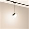 Светильник MAG-VIBE-EMISFERO-HANG-R100-6W Day4000-MIX (BK, 130 deg, 48V, TUYA) (Arlight, IP20 Металл, 5 лет) 044815 - фото 114344