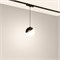 Светильник MAG-VIBE-EMISFERO-HANG-R100-6W Day4000-MIX (BK, 130 deg, 48V, TUYA) (Arlight, IP20 Металл, 5 лет) 044815 - фото 114345