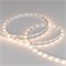 Лента MICROLED-M140-4mm 24V White-CDW (4.8 W/m, IP20, 2216, 5m) (Arlight, узкая) 024505(2) - фото 114947
