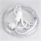 Образец Дюралайт ARD-REG-STD Cool (220V, 36 LED/m, 2m) (Ardecoled, Закрытый) 026669 - фото 116350