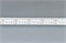 Лента CSP-X840-12mm 24V RGBW-Day (17.2 W/m, IP20, 5m)  (Arlight, 5 лет) 046936 - фото 117450
