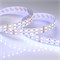 Лента RT-B144-19mm 24V RGBW-Day (32 W/m, IP20, 5060, 5m) (Arlight, -) 018144(2) - фото 117455