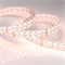 Лента RT-B144-19mm 24V RGBW-Day (32 W/m, IP20, 5060, 5m) (Arlight, -) 018144(2) - фото 117461