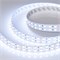 Лента RT-B144-19mm 24V RGB (34.4 W/m, IP20, 5060, 5m) (Arlight, Открытый) 012905(2) - фото 117527