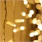Светодиодная гирлянда ARD-CURTAIN-PRO-2000x3000-WHITE-760LED-FLASH WARM/WARM (230V, 70W) (Ardecoled, IP65) 026063 - фото 117922