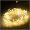 Светодиодная нить WR-5000-1608-100LED Warm (12V, 2.1W) (Arlight, IP65) 030210 - фото 119729