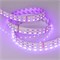Лента RT-B144-19mm 24V RGBW-White (32 W/m, IP20, 5060, 5m) (Arlight, 32 Вт/м, IP20) 011823(2) - фото 120110