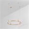 Трек ART-APRIORI-ROUND-HANG-R800 (GD) (Arlight, IP20 Металл, 3 года) 048473 - фото 120707