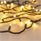 Светодиодная гирлянда ARD-STRING-PRO-1000-GREEN-100LED-MILK-PULSE Warm (230V, 7W) (Ardecoled, IP65) 031662 - фото 120818