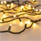 Светодиодная гирлянда ARD-STRING-PRO-1000-GREEN-100LED-MILK-PULSE Warm (230V, 7W) (Ardecoled, IP65) 031662 - фото 120819