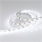 Лента RT 2-5000 12V White6000 2x (5060, 300 LED, LUX) (Arlight, 14.4 Вт/м, IP20) 012339(B) - фото 121643