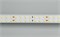 Лента RT 2-5000 24V Warm2700 2x2 (2835, 980 LED, CRI98) (Arlight, 20 Вт/м, IP20) 025153 - фото 122940