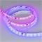 Лента герметичная SPI-SE-B60-10mm 24V RGB-PX6-BPT (12 W/m, IP65, 5060, 5m) (Arlight, бегущий огонь) 039601 - фото 123096