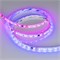 Лента герметичная SPI-SE-B60-10mm 24V RGB-PX6-BPT (12 W/m, IP65, 5060, 5m) (Arlight, бегущий огонь) 039601 - фото 123098