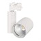 Светильник LGD-SHOP-4TR-R100-40W Day4000 (WH, 24 deg, 230V, DALI) (Arlight, IP20 Металл, 5 лет) 036106 - фото 123592