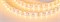 Лента RT 2-5000 24V Yellow 2x2 (5060, 600 LED, LUX) (Arlight, 28.8 Вт/м, IP20) 011263 - фото 123785