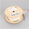 Лента RT 2-2500 24V White6000 5x2 (2835, 875 LED, LUX) (Arlight, 36 Вт/м, IP20) 019082(B) - фото 123871