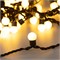 Светодиодная гирлянда ARD-BALL-CLASSIC-D17.5-10000-BLACK-100LED WARM (230V, 7W) (Ardecoled, IP65) 025584 - фото 125391