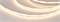 Лента COB-X544-8mm 24V Warm2700 (11.5 W/m, IP20, 5m) (Arlight, -) 031899(3) - фото 126826