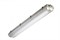 Светильник TLWP236 PC ECP IP65 -   ТЕХНОЛЮКС 00863 - фото 12772