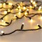Светодиодная гирлянда ARD-STRING-CLASSIC-20000-BLACK-200LED-MILK-SYNC RGB (230V, 13W) (Ardecoled, IP65) 028205 - фото 128360
