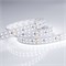 Лента RT 2-5000 24V White6000 2x2 (3528, 1200 LED, LUX) (Arlight, 19.2 Вт/м, IP20) 008771(B) - фото 129140