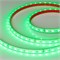 Лента RTW 2-5000PS-50m 24V RGB 2x (5060, 60 LED/m, LUX) (Arlight, 14.4 Вт/м, IP67) 024587 - фото 129790