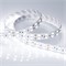 Лента RT 2-5000 24V Cool 8K 2x2 (5060, 600 LED, LUX) (Arlight, 28.8 Вт/м, IP20) 013756 - фото 129939