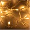 Светодиодная гирлянда ARD-STRING-HOME-5000-CLEAR-50LED-STD WARM (230V, 3.5W) (Ardecoled, IP20) 025749-1 - фото 130964