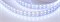 Лента RT 2-5000 24V RGB-White 2x2 (5060, 720 LED, LUX) (Arlight, 32 Вт/м, IP20) 011823(1) - фото 131227
