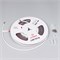 Лента герметичная CSP-PFS-X320-10mm 24V Warm3000 (10 W/m, IP68, TWP100, 5m) (Arlight, -) 045052 - фото 131485