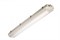 TLWP06 PC OL LED IP66 50W 4000 lm 1263x135 00030 - фото 13179