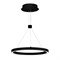 Светильник SP-CONGO-CAN-1-R400-24W Warm3000 (BK, 120 deg, 230V) (Arlight, IP20 Металл, 5 лет) 046217 - фото 132086