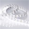 Лента RT 2-5000 24V White6000 2x2 (5060, 600 LED, LUX) (Arlight, 28.8 Вт/м, IP20) 011256(1) - фото 132329
