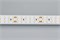 Лента RT 2-5000 24V Warm2700 2x2 (3528, 1200 LED,CRI98) (Arlight, 19.2 Вт/м, IP20) 021450 - фото 132399