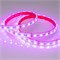 Лента RTW 2-5000PS 12V RGB 2x (5060, 300 LED, LUX) (Arlight, 14.4 Вт/м, IP67) 021402 - фото 132424