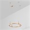 Трек ART-APRIORI-ROUND-HANG-R600 (GD) (Arlight, IP20 Металл, 3 года) 048472 - фото 132473