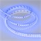 Лента RT-A120-8mm 24V Blue (9.6 W/m, IP20, 2835, 5m) (Arlight, 9.6 Вт/м, IP20) 008783(3) - фото 135686