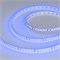 Лента RT-A120-8mm 24V Blue (9.6 W/m, IP20, 2835, 5m) (Arlight, 9.6 Вт/м, IP20) 008783(3) - фото 135687