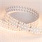 Лента S2-A280-34mm 24V Warm2700 (25 W/m, IP20, 2835, 2.5m) (Arlight, 25 Вт/м, IP20) 023403(2) - фото 136765