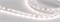 Лента RT 6-5000 24V White-MIX 2x (3528, 120 LED/m, LUX) (Arlight, 9.6 Вт/м, IP20) 025211 - фото 137042