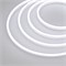 Образец Гибкий неон GALAXY-1206-5000CFS-2835-100 12V White 0.5M (12x6mm, 12W, IP67) (Arlight, 12 Вт/м, IP67) 030967 - фото 137704