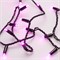 Светодиодная гирлянда ARD-STRING-CLASSIC-10000-BLACK-100LED-STD PINK (230V, 7W) (Ardecoled, IP65) 025806 - фото 138182