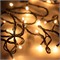 Светодиодная гирлянда ARD-STRING-HOME-5000-GREEN-50LED-STD WARM (230V, 3.5W) (Ardecoled, IP20) 025764 - фото 139054