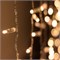 Светодиодная гирлянда ARD-CURTAIN-CLASSIC-2000x3000-CLEAR-760LED Warm (230V, 60W) (Ardecoled, IP65) 024857 - фото 139509