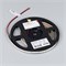 Лента MICROLED-M320-8mm 24V Warm3500 (8 W/m, IP20, 2216, 5m) (Arlight, 130 лм/Вт) 047864 - фото 139571